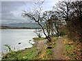 NY2032 : Shore Path, Bassenthwaite Lake near Ouse Bridge by David Dixon