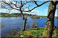 The River Dee from Lamb Island