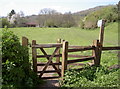 Gateway to the meadow