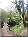 Footbridge near Hartest Church