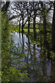 Brownsover Arm, Oxford Canal