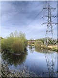 SD7910 : River Irwell, Buckley Wells by David Dixon