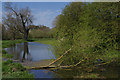 Brownsover Arm, Oxford Canal