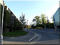 SU9850 : Perimeter Road & Ivy Arts Centre by Geographer