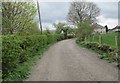 Shepherds Thorn Lane - looking towards Bradley Road