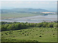 SD4577 : Kent  Viaduct  from  Higher  Pasture  Arnside  Knott by Martin Dawes
