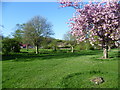 Along the Shuttle Riverway in springtime