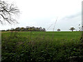TM3569 : Looking towards Valley Farm Spinney by Geographer