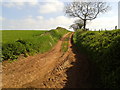 Green lane at Underhill Cross