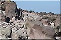 SS9448 : West Somerset : Rocks & Boulders by Lewis Clarke