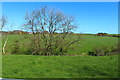 Farmland near Banks Cottages