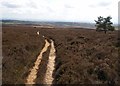 Footpath Hutton Ridge