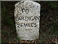 Llanwnnen, Milestone - Cardigan 25