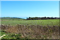 Farmland near Over Hazlefield