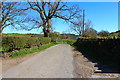 Road near Orchardton Mains