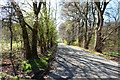 B736 to Castle Douglas near Torglass Hill