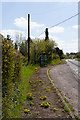 SU4226 : Dandelions and Bus Stop at Standon by Peter Facey