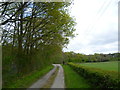 Looking towards Cinder Hill Lane