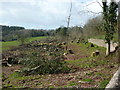 The Absence of Trees on the Approach to Brixham - 2