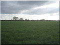 View towards Blackwood Hall Farms