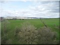 Farmland, east side, Waterhouses Beck