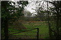 Unimproved grassland at Wood Langham