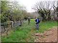 Llwybr Clyne Path