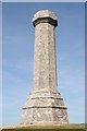 SY6187 : The Hardy Monument by Philip Halling