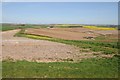 SY6187 : Farmland near the Hardy Monument by Philip Halling