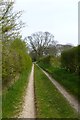 Bridleway on Huggate Hill