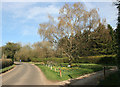 Road by Greenfield Manor (springtime)