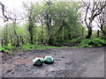 Fly-Tipping Icknield Street