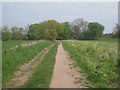 Footpath in Blyth Park