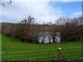 Flintsham Pool