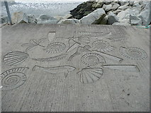 NZ9011 : Artwork in the concrete driveway to the East Pier by Humphrey Bolton