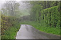 Mid Devon : Country Lane