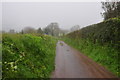 Mid Devon : Country Lane