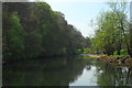 River Usk