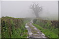 Mid Devon : College Lane