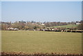 Looking towards Egerton