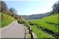 Lane approaching Branscombe