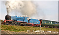 J4791 : Steam locomotive no 85, Whitehead - April 2014(2) by Albert Bridge