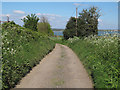 TM1731 : Footpath (Essex Way) to Stour Estuary, Wrabness by Roger Jones