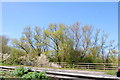 A303 bridge over the River Avon