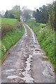 East Devon : Farm Track