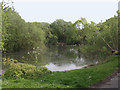 North-eastern lake in Friars Park, North Shoebury