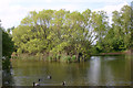 South-western lake, Friars Park, North Shoebury