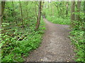 The London LOOP in Darrick Wood