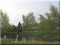 Pond at Belby Hall