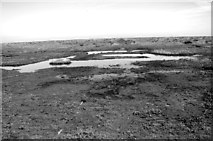 TF9443 : The salt marshes by Warham Greens by Evelyn Simak